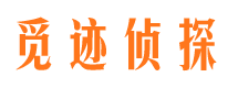 海安出轨调查